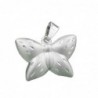 Anhänger 11x16mm Schmetterling matt-glänzend diamantiert Silber 925