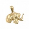 Anhänger Elefant glänzend 9Kt GOLD
